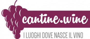 cantine.wine